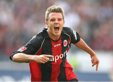 提供了一些 提供了一些